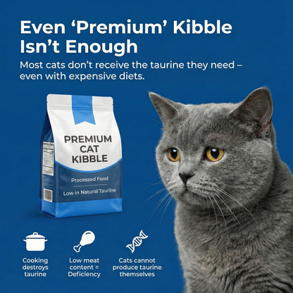 PureTaurine+ - No. 1 Recommended by Veterinarians