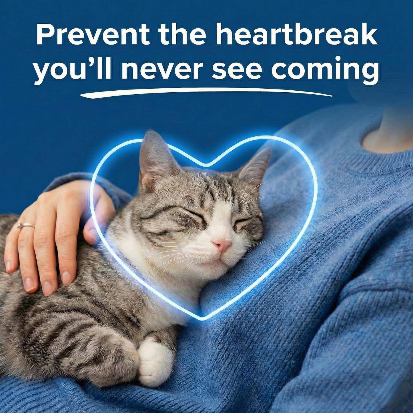 PureTaurine+ - No. 1 Recommended by Veterinarians