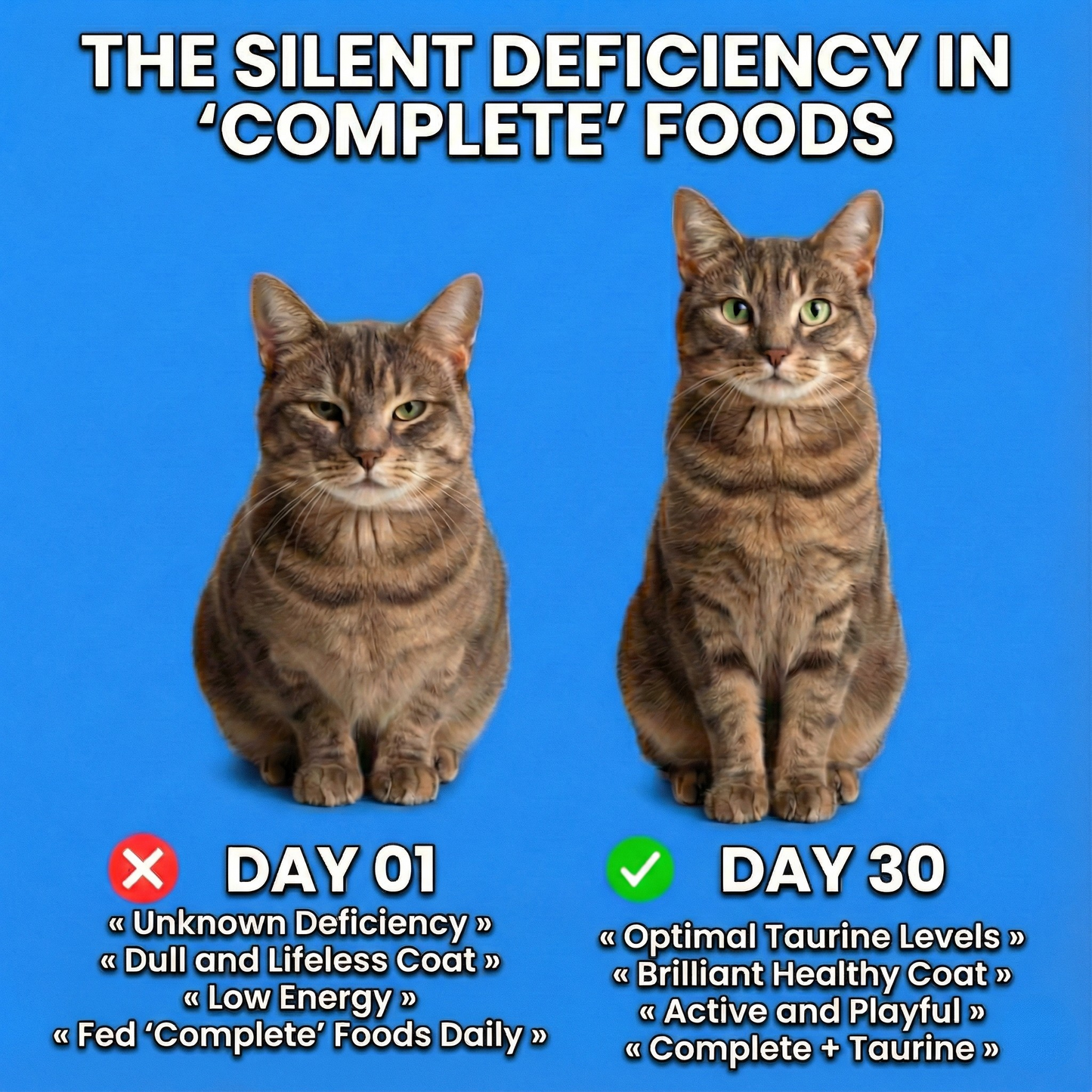 PureTaurine+ - No. 1 Recommended by Veterinarians